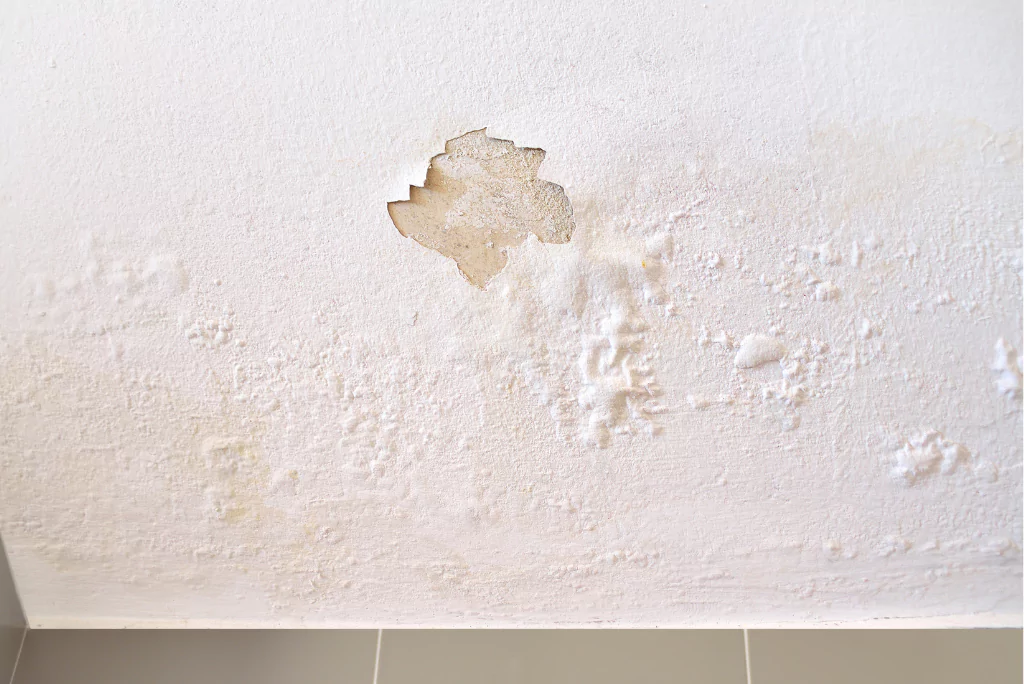 Wall waterproofing services - terrace and slab leakage